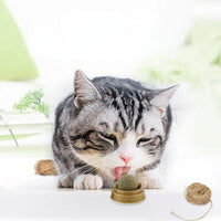 Minty Fresh Catnip Dental Treats - Rotary Molar Teeth Cleaning