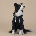 NNEDSZ 3XL Black Cute Dog Hoodie with Adjustable Drawstring - Available in Various Sizes