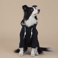 NNEDSZ 3XL Black Cute Dog Hoodie with Adjustable Drawstring - Available in Various Sizes