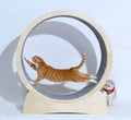 Cat Fitness Fun Roller