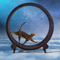 Catfitrun: The Ultimate Pet Cat Running Wheel For Fitness And Fun