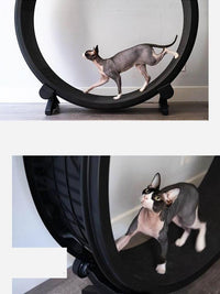 Catfitrun: The Ultimate Pet Cat Running Wheel For Fitness And Fun