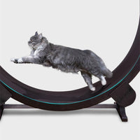 Catfitrun: The Ultimate Pet Cat Running Wheel For Fitness And Fun
