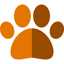 collection top image